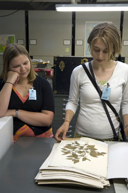 Herbarium Research