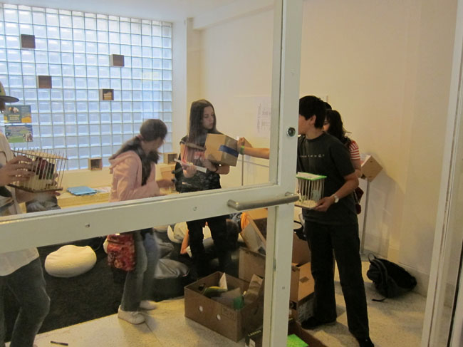 CabinetOfCuriosities1062