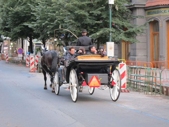 HorseAndCarriage0864