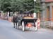 HorseAndCarriage0864