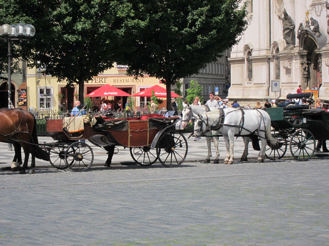 HorseAndCarriage0165