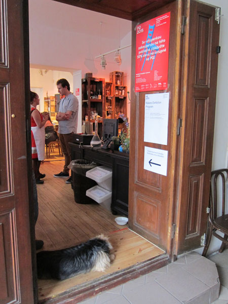 MakersEntranceWithDog