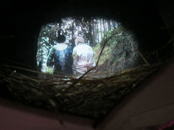 NewZealandExhibit_3708