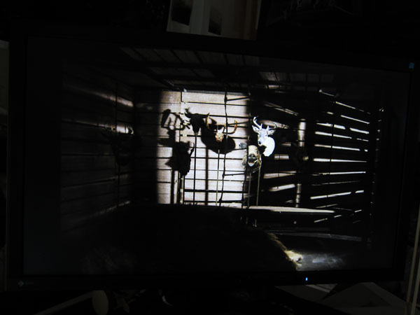 CzechRepublicStudent_2732