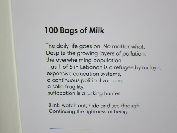 2LebanonStudentExhibit0002