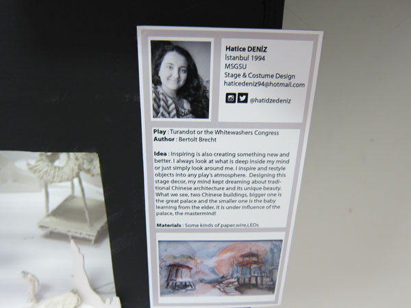 TurkeyStudentExhibit_3673