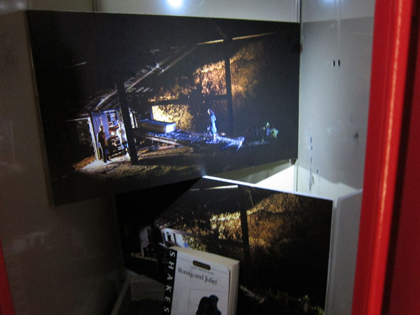 USA_StudentExhibit_3537